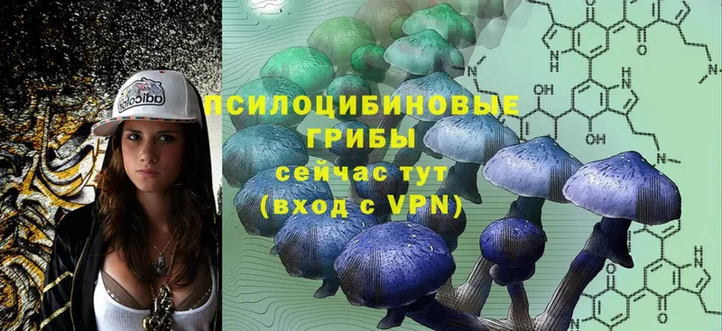 Псилоцибиновые грибы MAGIC MUSHROOMS  МЕГА сайт  Красноперекопск 